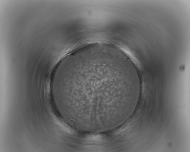 X0000093770202200710231319