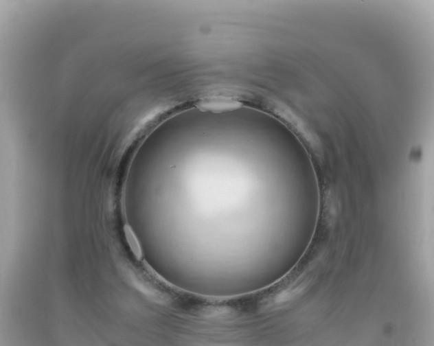 X0000093770203200710231319