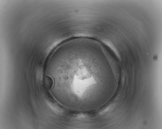 X0000093770204200710231319