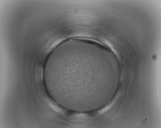 X0000093770205200710231319