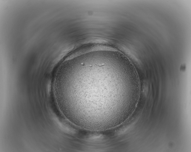 X0000093770206200710231319