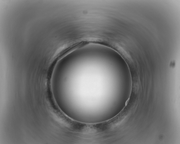 X0000093770207200710231319