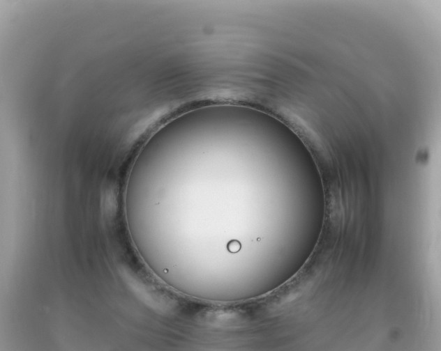 X0000093770208200710231319