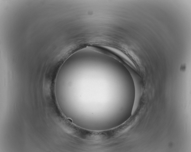 X0000093770209200710231319