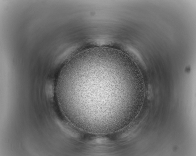 X0000093770210200710231319