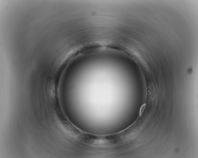 X0000093770212200710231319