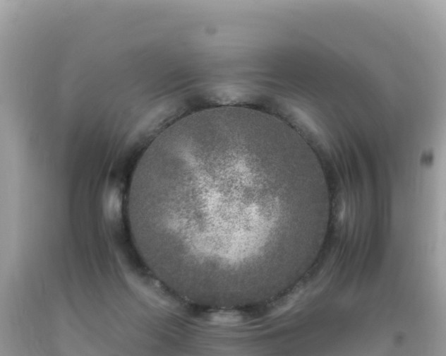 X0000093770214200710231319