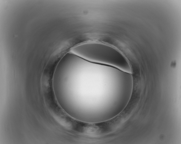 X0000093770215200710231319