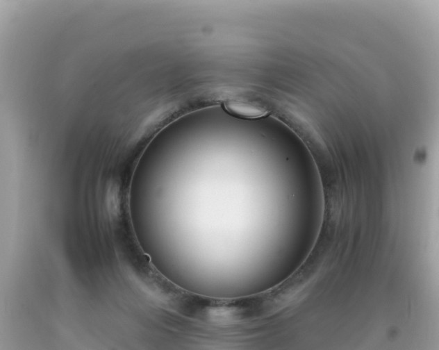 X0000093770216200710231319