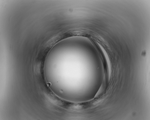 X0000093770217200710231319