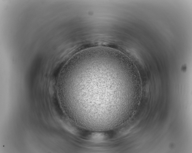 X0000093770218200710231319