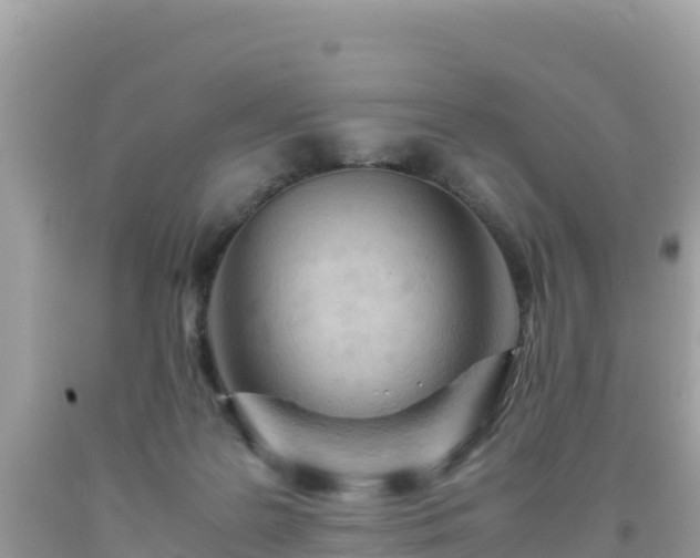 X0000093770219200710231319