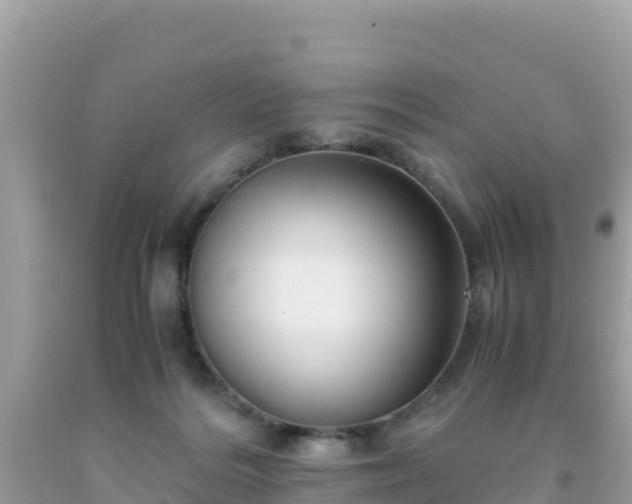 X0000093770220200710231319