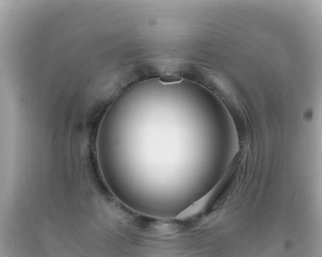 X0000093770221200710231319