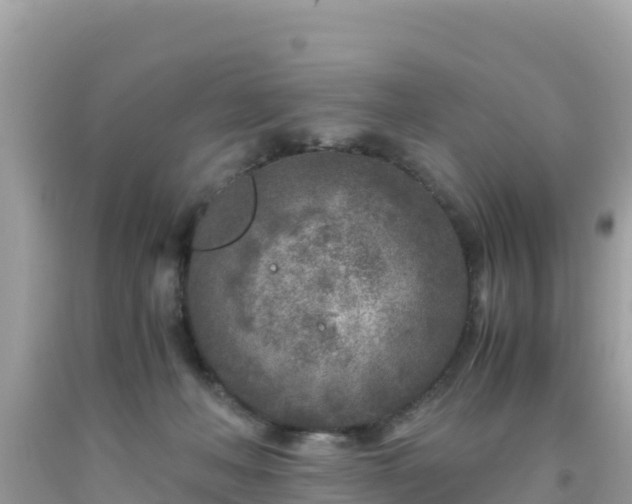 X0000093770222200710231319