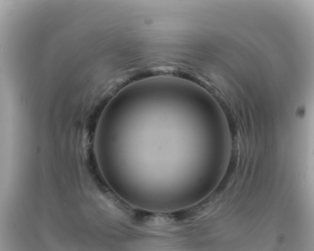 X0000093770223200710231319