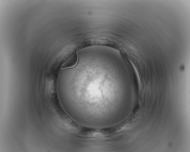 X0000093770224200710231319