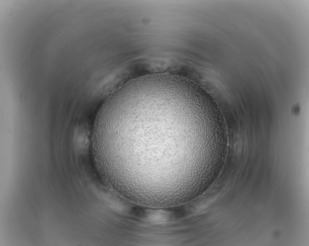 X0000093770226200710231319