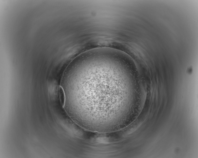 X0000093770228200710231318