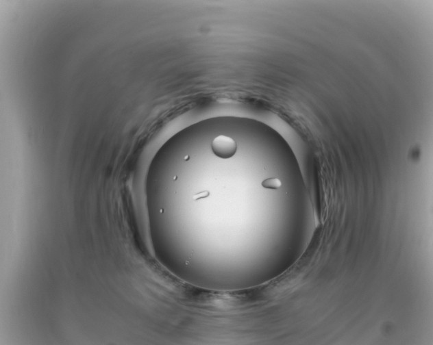 X0000093770229200710231318