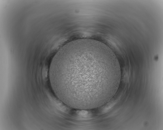 X0000093770230200710231318