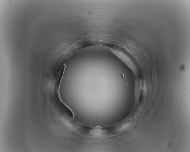 X0000093770231200710231318