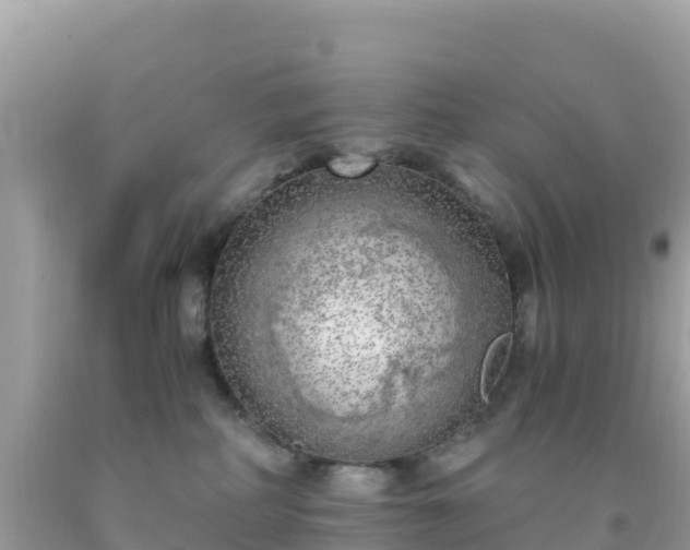 X0000093770234200710231318