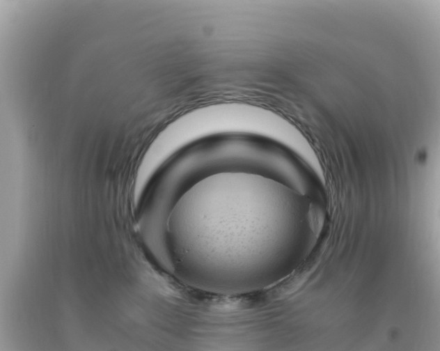 X0000093770235200710231318