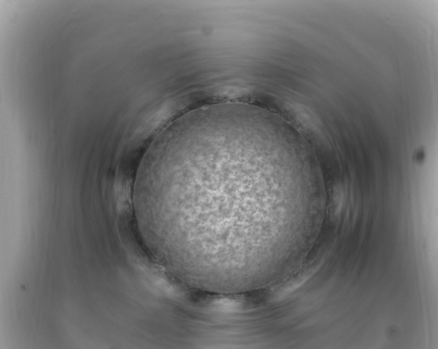 X0000093770236200710231318