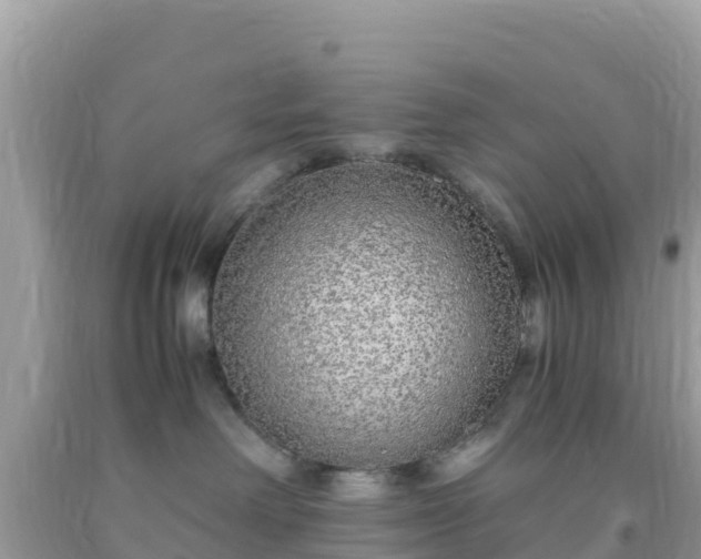 X0000093770238200710231318