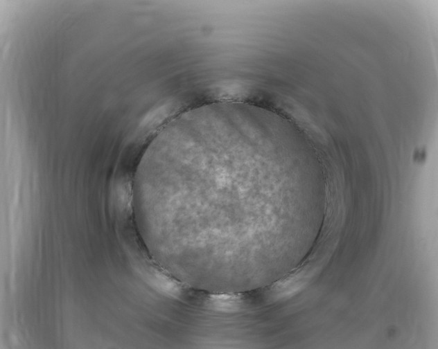 X0000093770240200710231318