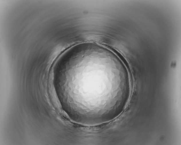 X0000093770241200710231318