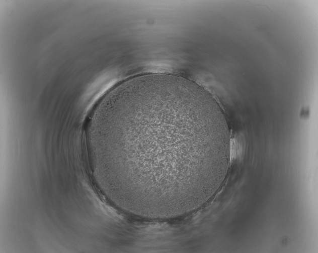 X0000093770243200710231318