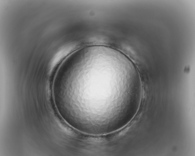 X0000093770245200710231318