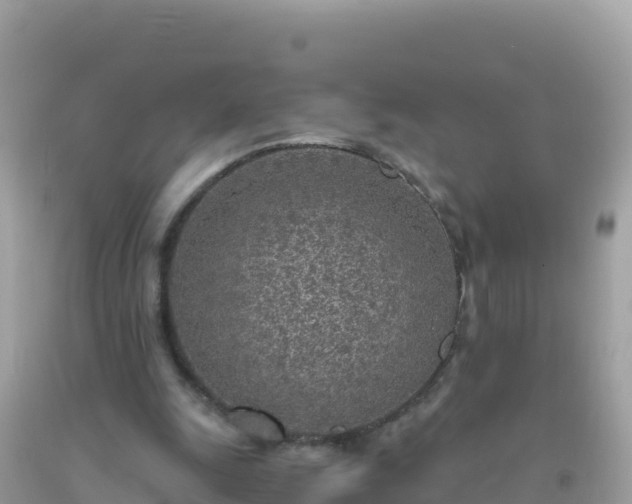 X0000093770247200710231318