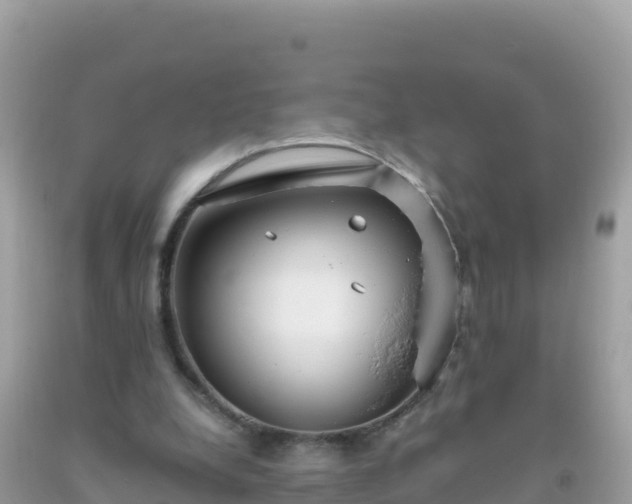 X0000093770248200710231318