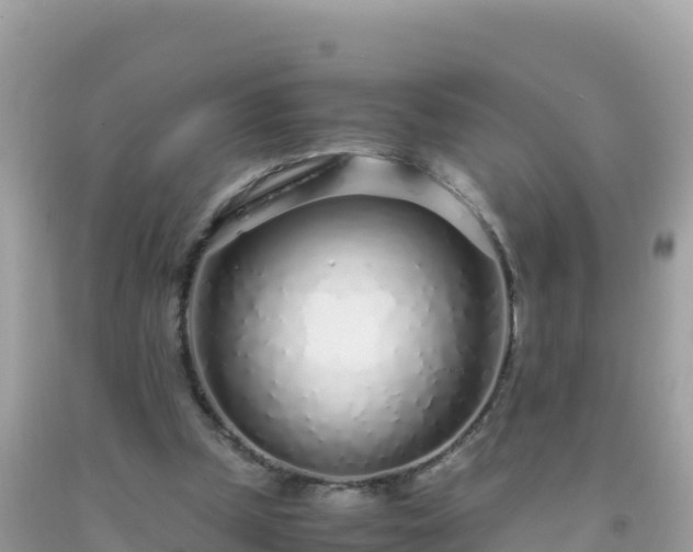 X0000093770249200710231318