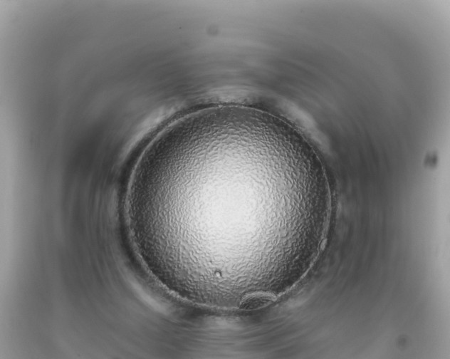 X0000093770250200710231318