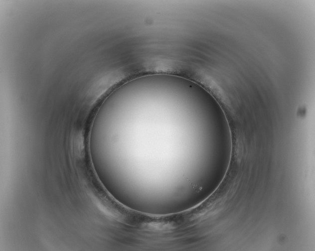 X0000093770251200710231318