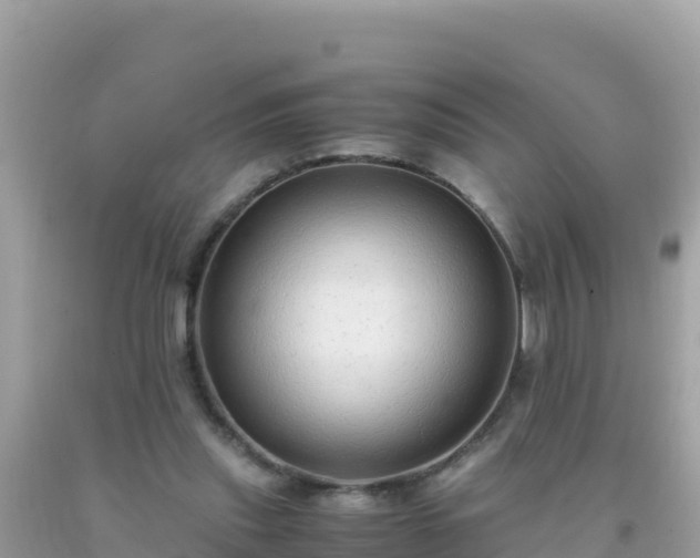 X0000093770253200710231318