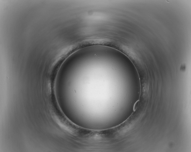 X0000093770254200710231318