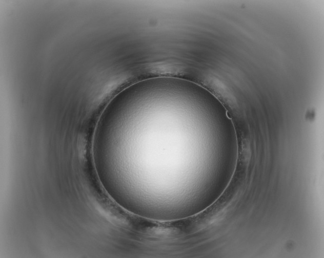 X0000093770255200710231318