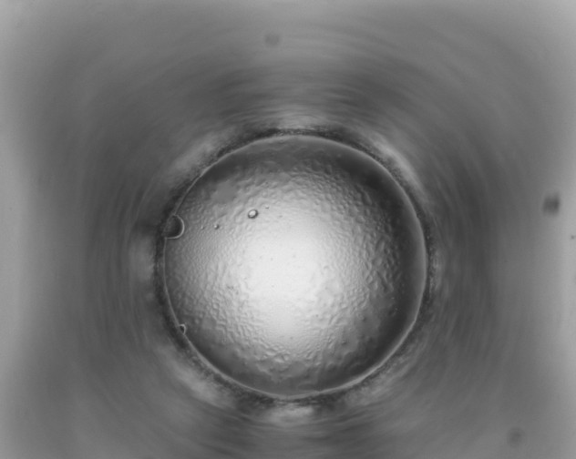 X0000093770257200710231318