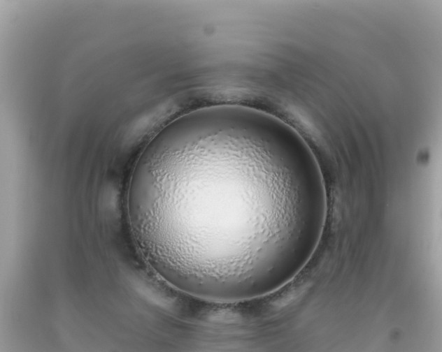 X0000093770258200710231318