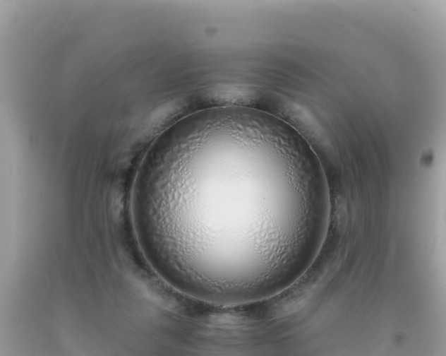 X0000093770259200710231318