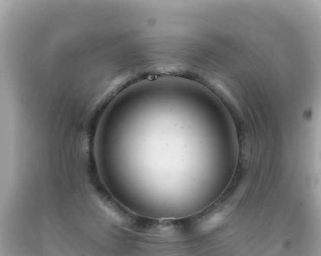 X0000093770260200710231318