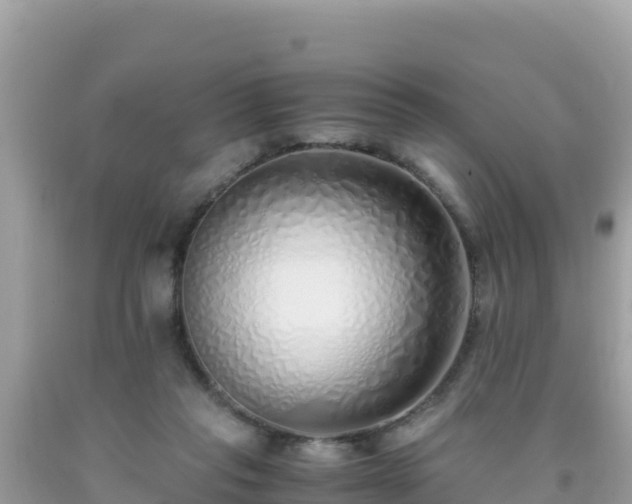 X0000093770261200710231318