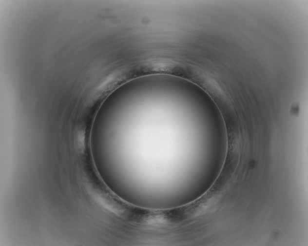 X0000093770262200710231318