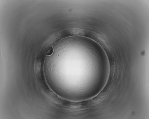 X0000093770263200710231318