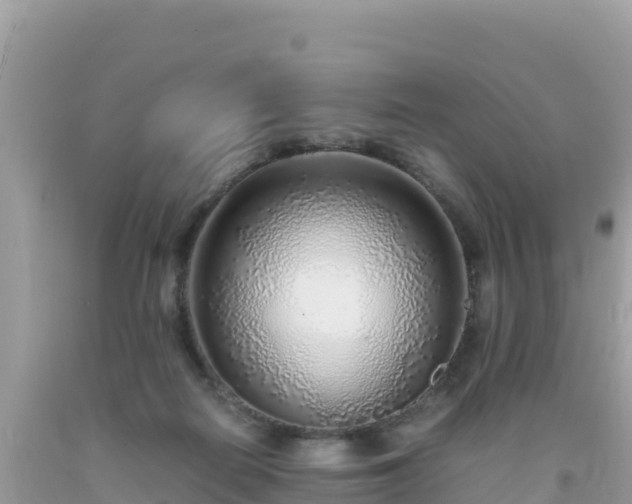 X0000093770266200710231318